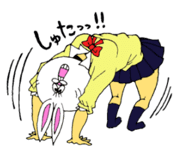 Usagi's four sets. sticker #824400