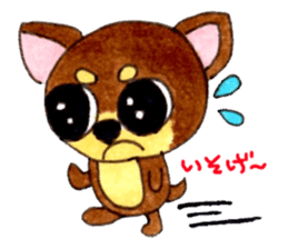 Yamato Maro eyebrow Chihuahua sticker #825009