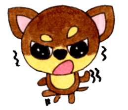 Yamato Maro eyebrow Chihuahua sticker #825011