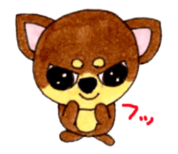Yamato Maro eyebrow Chihuahua sticker #825012