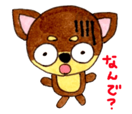 Yamato Maro eyebrow Chihuahua sticker #825014
