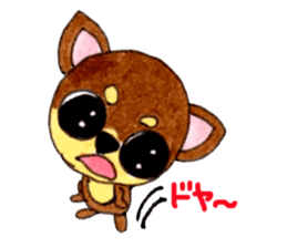 Yamato Maro eyebrow Chihuahua sticker #825015