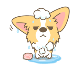 Corgi a collection sticker #829034