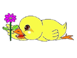 kawaii baby chick sticker #829902