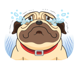 "Moo" & "Mee" : 2Pugs sticker #830434