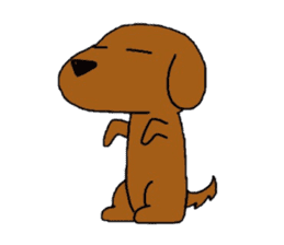 Feeling of the Dachshund name is Turkey sticker #832001