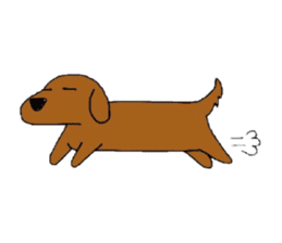 Feeling of the Dachshund name is Turkey sticker #832008
