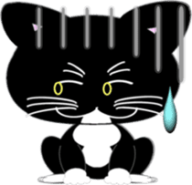 Socks black cat Yan Cara sticker #832678