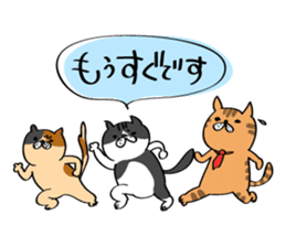Cats are meeting sticker #833359