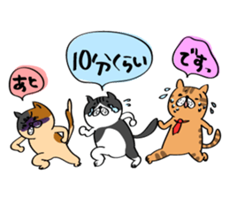 Cats are meeting sticker #833361