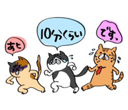 Cats are meeting sticker #833361