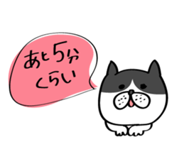 Cats are meeting sticker #833366