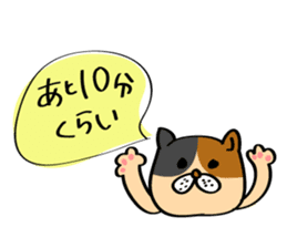 Cats are meeting sticker #833367