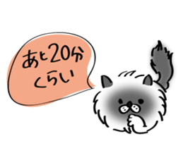 Cats are meeting sticker #833369