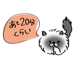 Cats are meeting sticker #833369