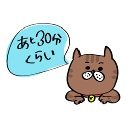 Cats are meeting sticker #833370