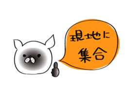 Cats are meeting sticker #833373