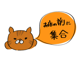 Cats are meeting sticker #833375