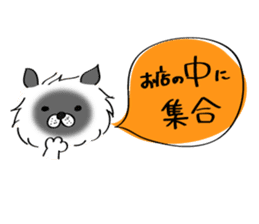 Cats are meeting sticker #833376