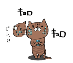 Cats are meeting sticker #833379