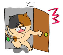 Cats are meeting sticker #833380