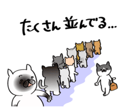 Cats are meeting sticker #833384
