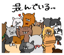 Cats are meeting sticker #833385