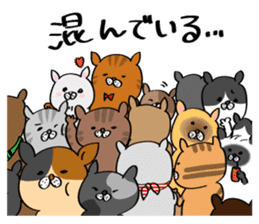 Cats are meeting sticker #833385