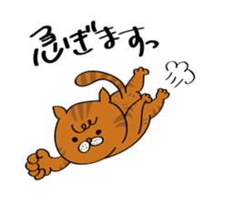 Cats are meeting sticker #833386