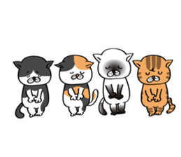 Cats are meeting sticker #833388