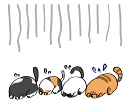 Cats are meeting sticker #833389