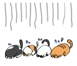 Cats are meeting sticker #833389