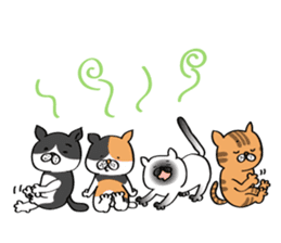 Cats are meeting sticker #833390