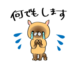 Cats are meeting sticker #833395