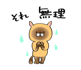 Cats are meeting sticker #833396