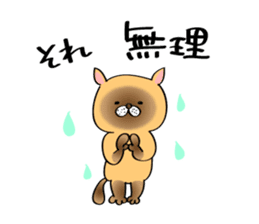 Cats are meeting sticker #833396