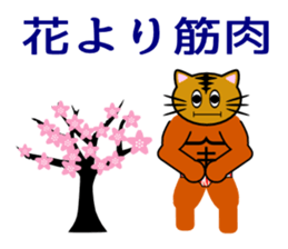 Macho tabby cat sticker #834402