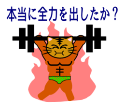 Macho tabby cat sticker #834419