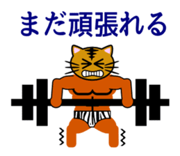 Macho tabby cat sticker #834429