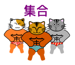 Macho tabby cat sticker #834434