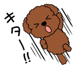 Mogu and Marco of toy poodle sticker #835562