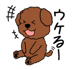 Mogu and Marco of toy poodle sticker #835573