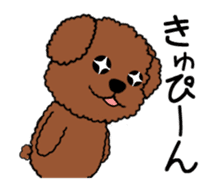 Mogu and Marco of toy poodle sticker #835579