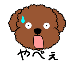 Mogu and Marco of toy poodle sticker #835583