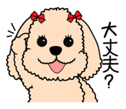Mogu and Marco of toy poodle sticker #835587