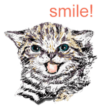 Just cats! sticker #835801