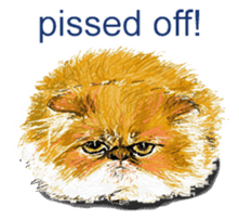 Just cats! sticker #835802