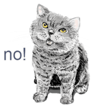 Just cats! sticker #835810