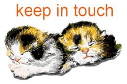 Just cats! sticker #835813