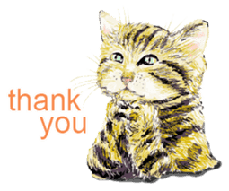 Just cats! sticker #835819